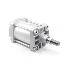 Пневмоцилиндр PMBYA-200-200 Pemaks